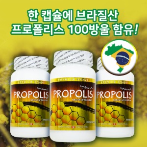 [피엔씨] 천연 항산화제 프로폴리스 3병세트 (PNC PROPOLIS x3)
